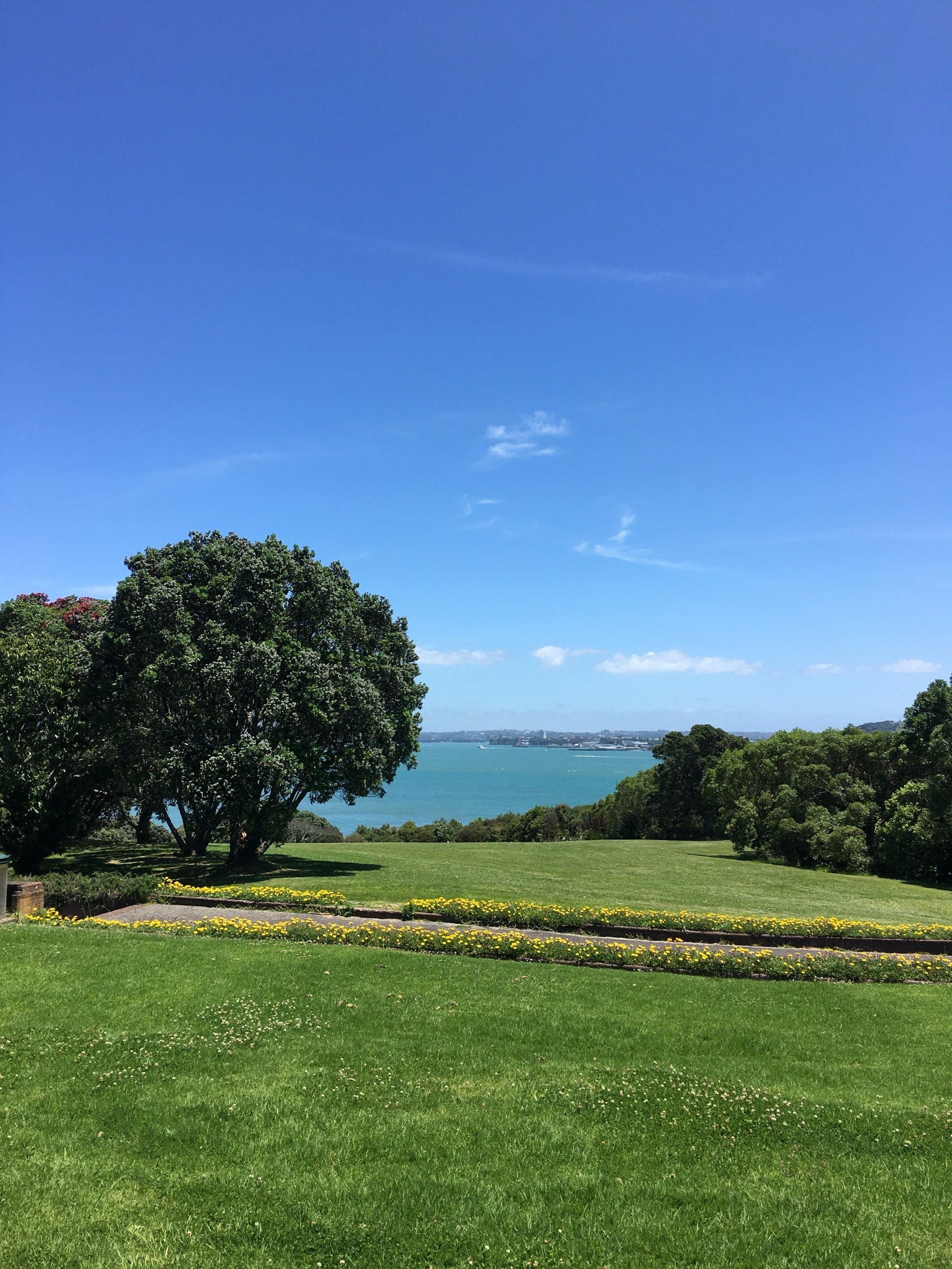 景色美得让人沉醉