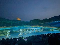 -鼎盛王朝康熙大典实景演出