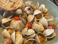 -Apollo·西班牙小酒馆(安福路店)