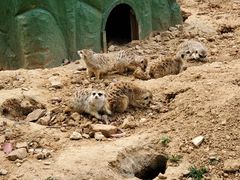 -无锡动物园·太湖欢乐园