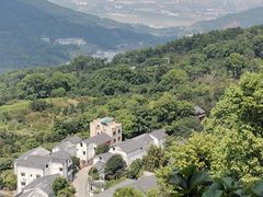 -南山植物园