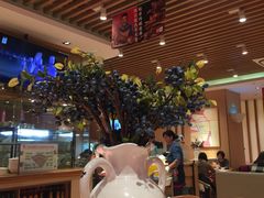 -西贝(宝乐汇店)