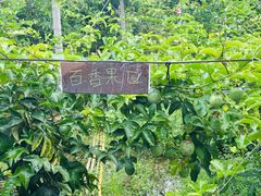 -明仕田园