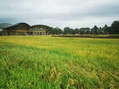 -中国天府农业博览园