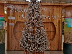 -北京鹿世界主题园