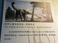 -中国西峡恐龙遗迹园