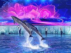 -海合安青岛极地海洋公园