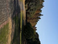 -贡湖湾湿地公园
