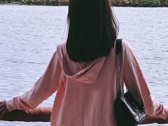 -白洋淀景区