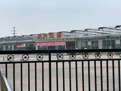 -李村大集