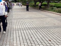 -青岛市图书馆