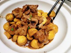 板栗烧排骨-老村长•湖北家常菜(南湖店)