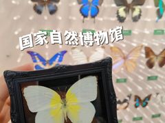 -国家自然博物馆
