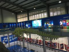 -上海海洋大学鱼文化博物馆(军工路校区)