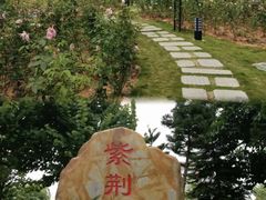 -映月湖公园