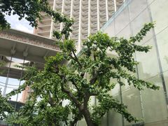 -复旦大学附属中山医院(西院区)