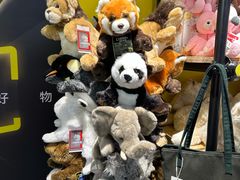 -上海浦东国际机场-T2航站楼