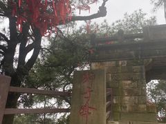 -缙云山景区