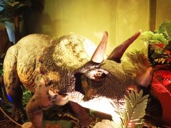 -恐龙探索乐园(磁器口店)