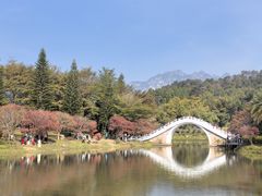 -田野绿世界