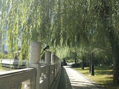 -迎泽公园