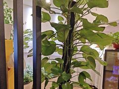 -领享养生会所·采耳·SPA按摩(厦门吕厝店)