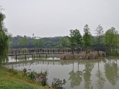 景点-大塘金香草谷