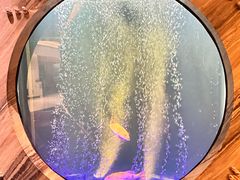 -莉莉海堂HAITANG·烤鸭(国贸商城店)