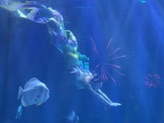 -华夏文旅海洋公园