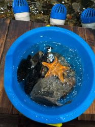 -钓虾工场·钓虾·赶海(回龙观店)