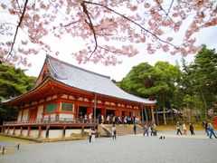 -醍醐寺