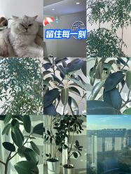 -HEYAN荷妍专业脱毛连锁机构