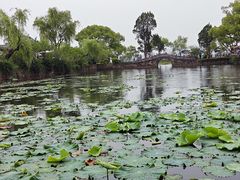 -无锡蠡湖国家湿地公园-蠡园