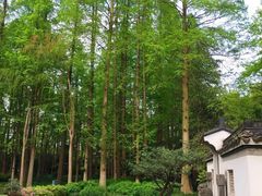 -杭州张苍水先生祠