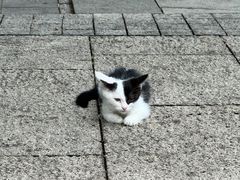 -荔湾湖公园