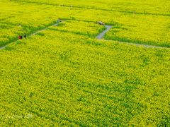 -汉长安城未央宫国家考古遗址公园