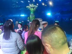 -成都浩海立方海洋公园