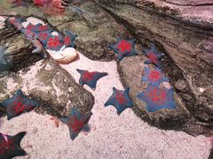 -沈阳海洋探索中心