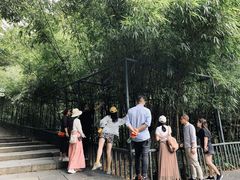 -常德桃花源景区