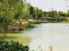 -尚贤河湿地