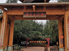 -北海金海湾红树林生态旅游区