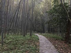 -钱塘江大桥