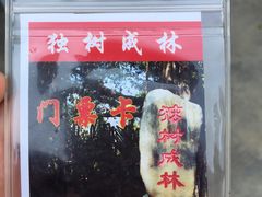 -瑞丽独树成林风景区