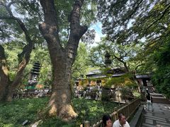 -普陀山风景名胜区-法雨禅寺