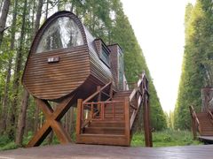 -黄海国家森林公园