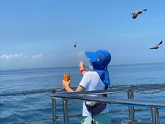 -海驴岛(荣成市)