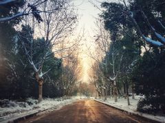 -南京奥林匹克体育中心-体育馆