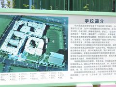 -杭州观成实验学校