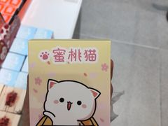 -泡泡玛特POPMART(合生汇店)