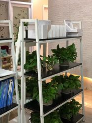 -摩瘦纤体订制减肥